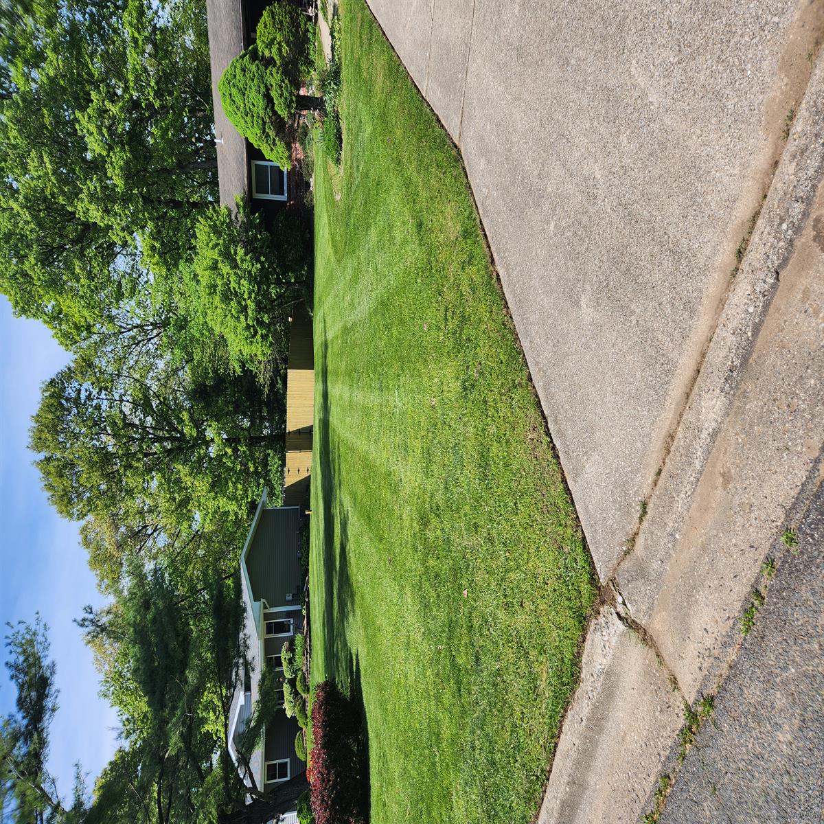 Stripes in the front yard, after the first cut